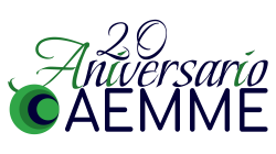 Logo AEMME A20 2024 sin letra