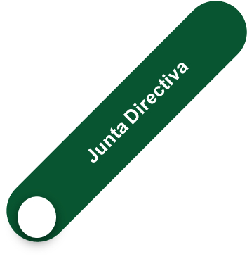 Junta Directiva AEMME